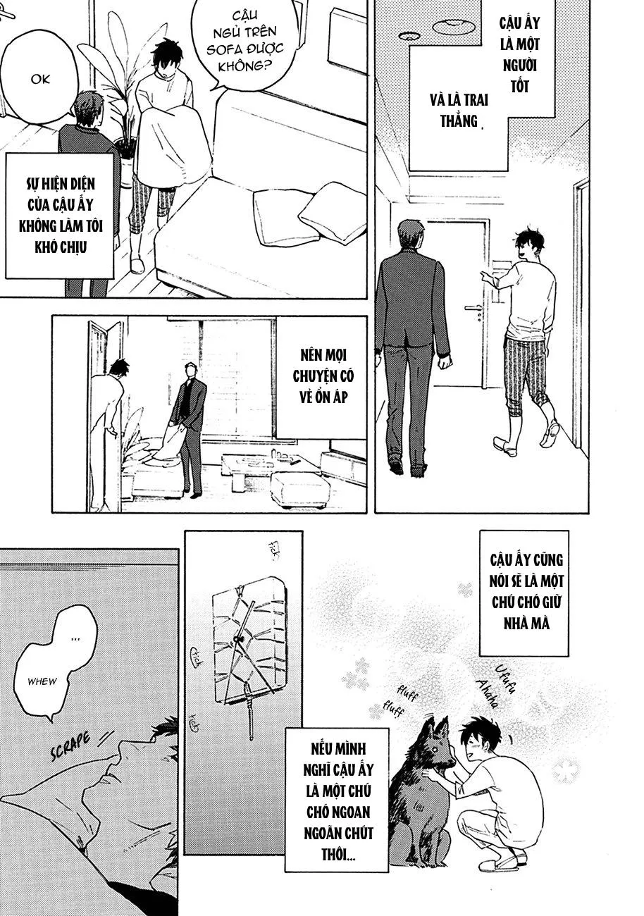 Liệu tôi có thể trói cậu lại được chứ Yakuza-san Chapter 1 Trang 16