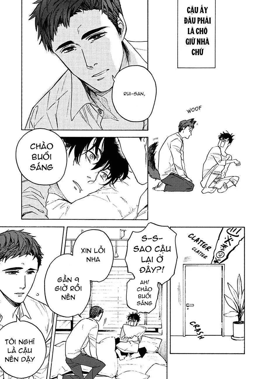 Liệu tôi có thể trói cậu lại được chứ Yakuza-san Chapter 1 Trang 18