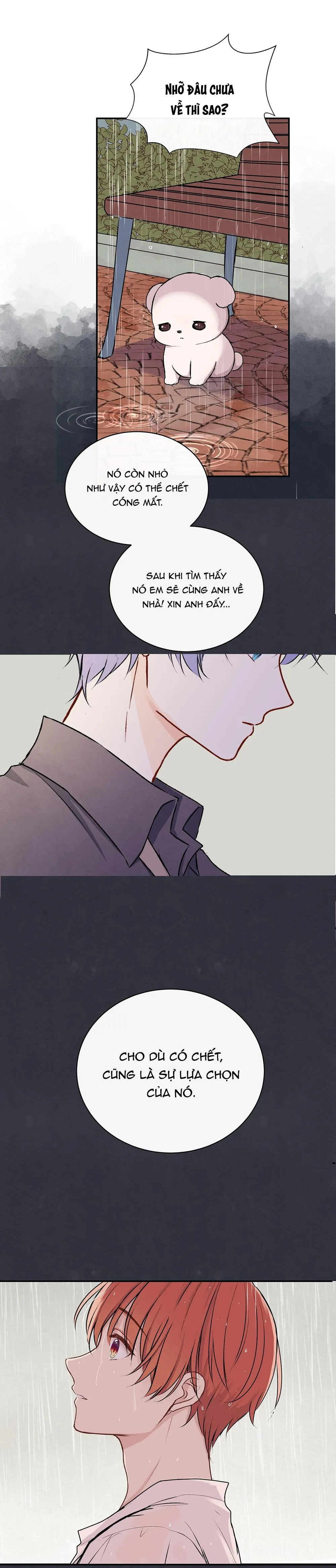 Liquor Gummies Chapter 28 Trang 16