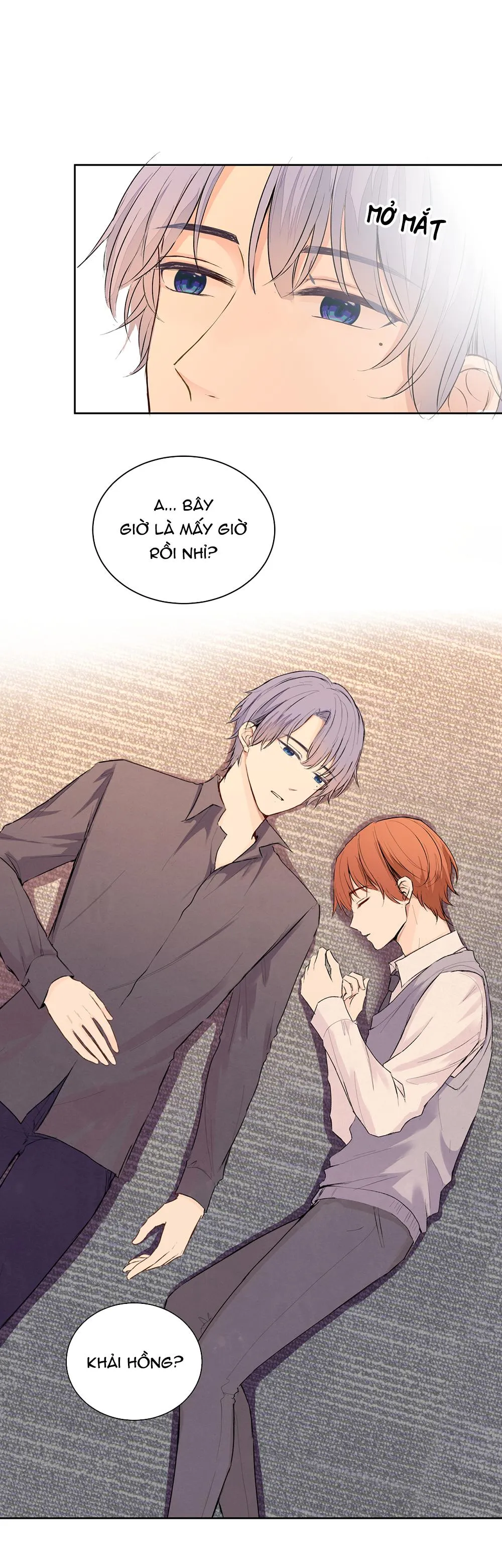 Liquor Gummies Chapter 56 Trang 3