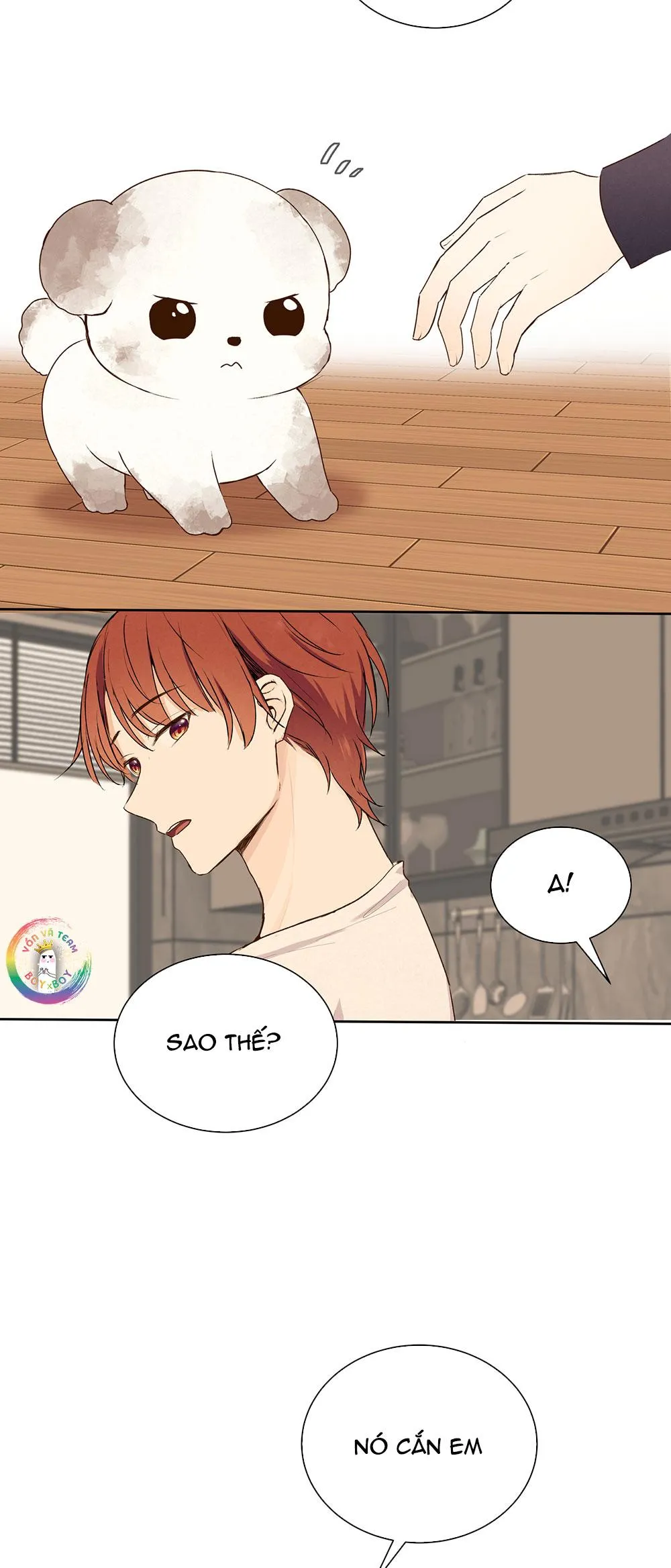 Liquor Gummies Chapter 61 Trang 20