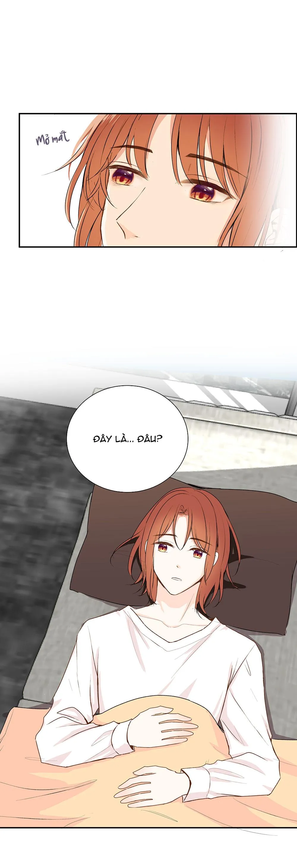 Liquor Gummies Chapter 65 Trang 6