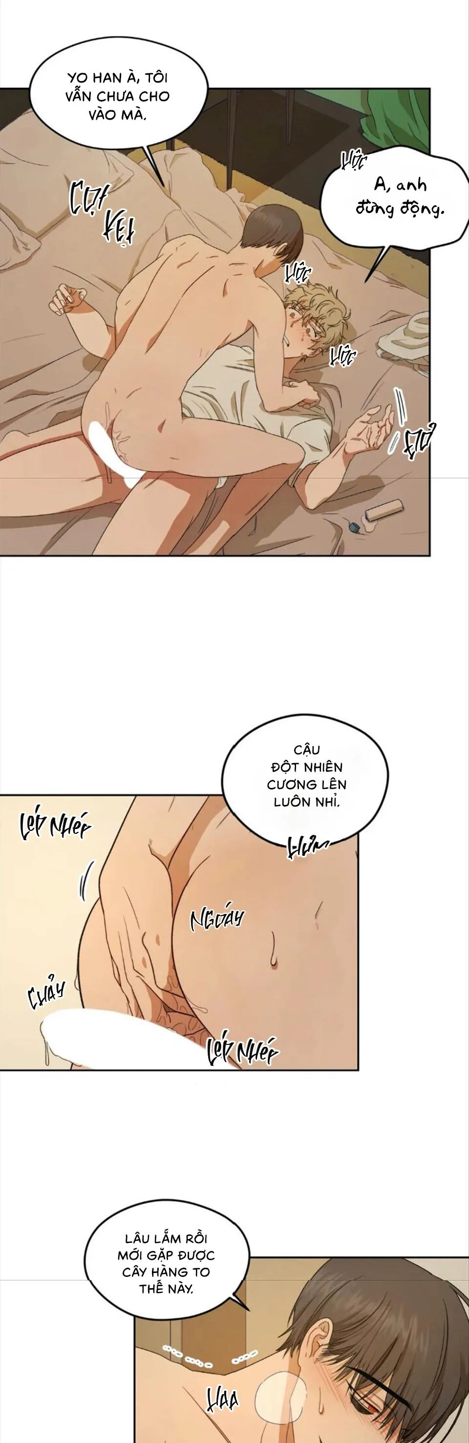 Liveta Chapter 2 Trang 15