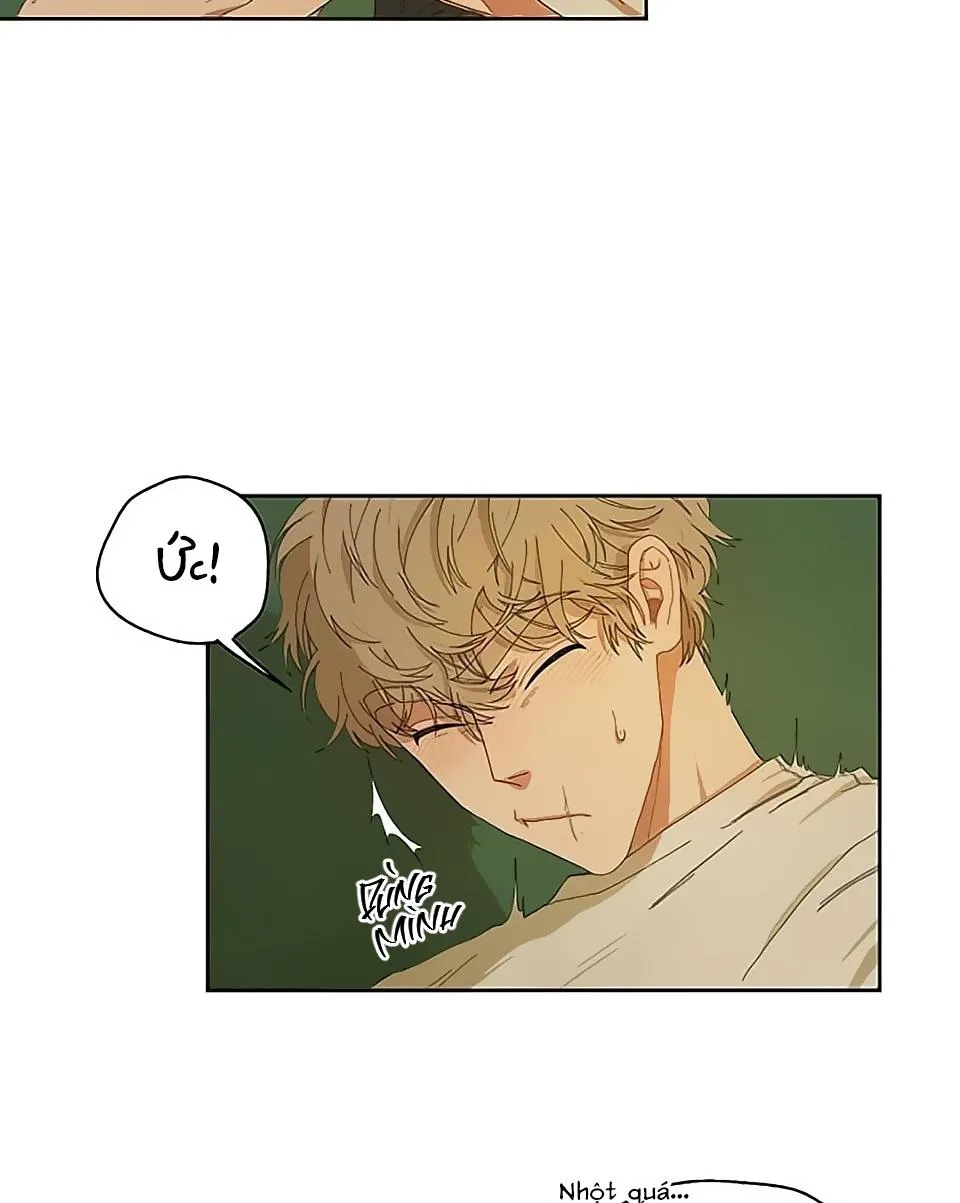 Liveta Chapter 1 Trang 72