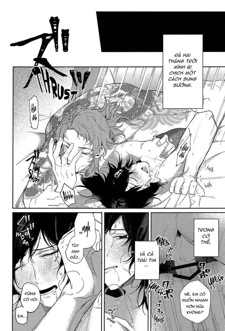 Lỗ tầy quầy Chapter 13 Trang 12