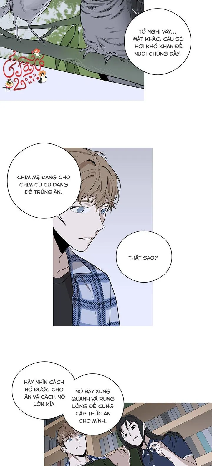 Loài Chim Không Bay Chapter 2 Trang 3