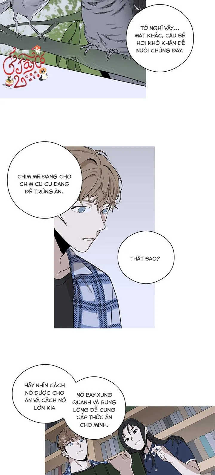 Loài Chim Không Bay Chapter 2 Trang 4