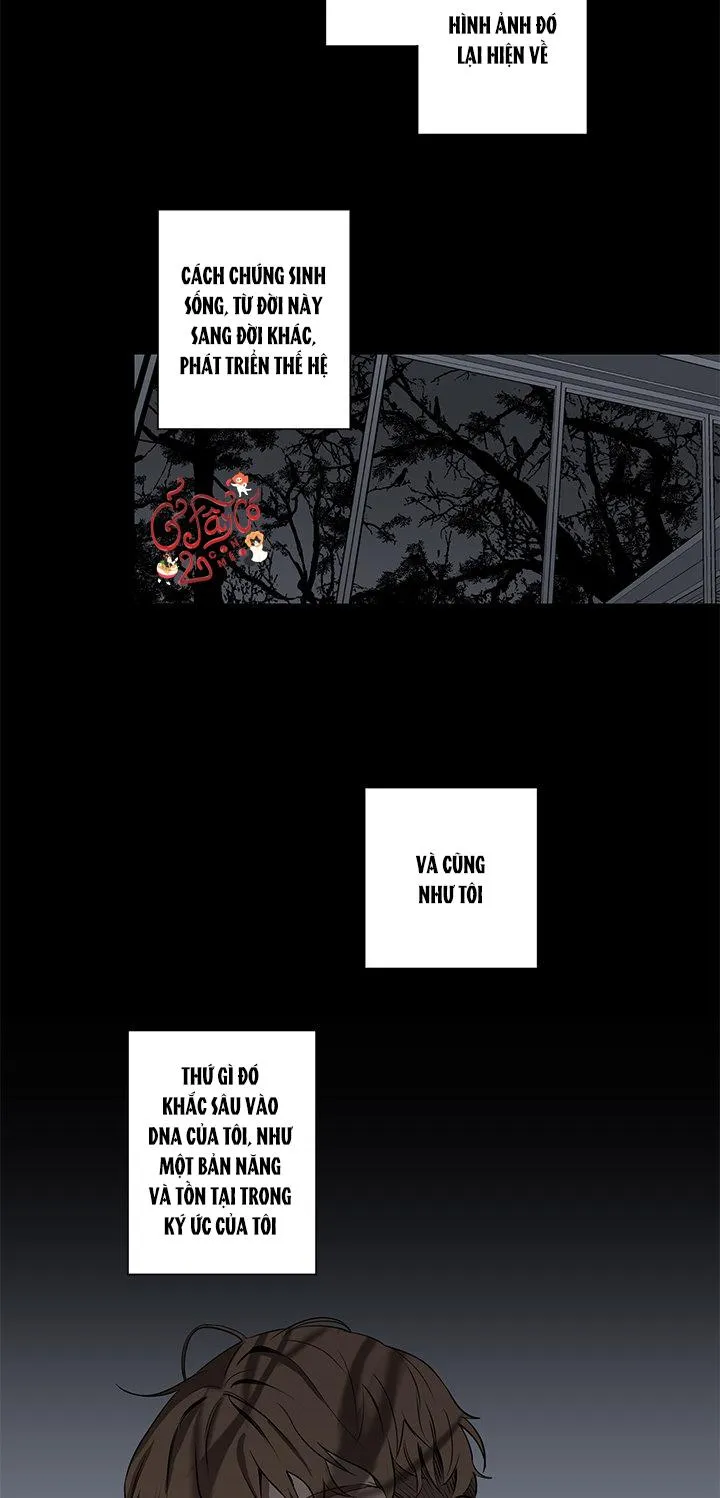 Loài Chim Không Bay Chapter 5 Trang 20