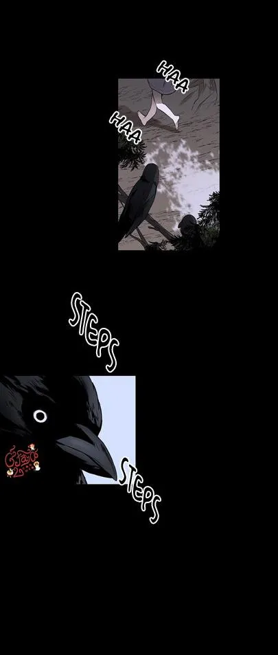 Loài Chim Không Bay Chapter 1 Trang 3