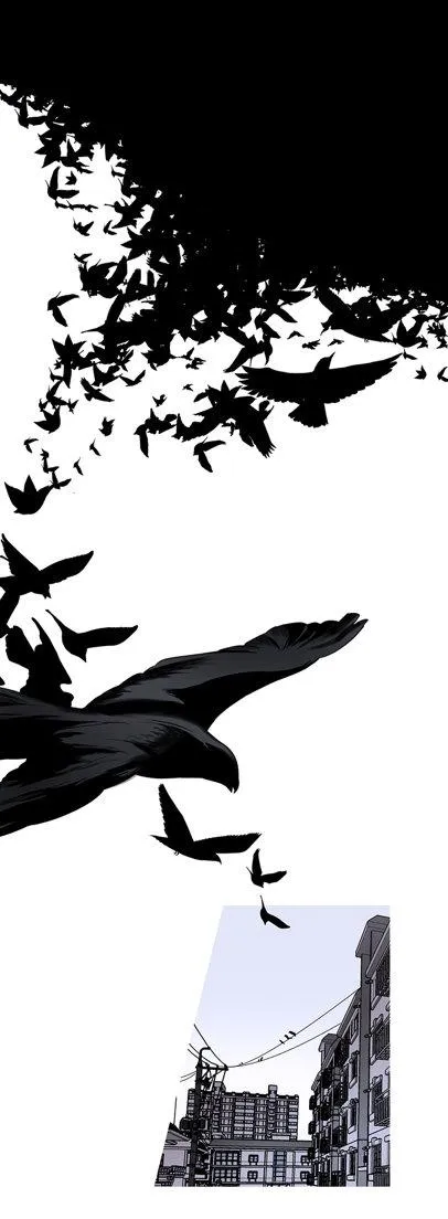 Loài Chim Không Bay Chapter 1 Trang 6