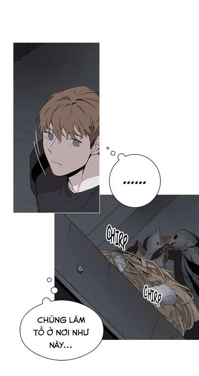 Loài Chim Không Bay Chapter 1 Trang 8