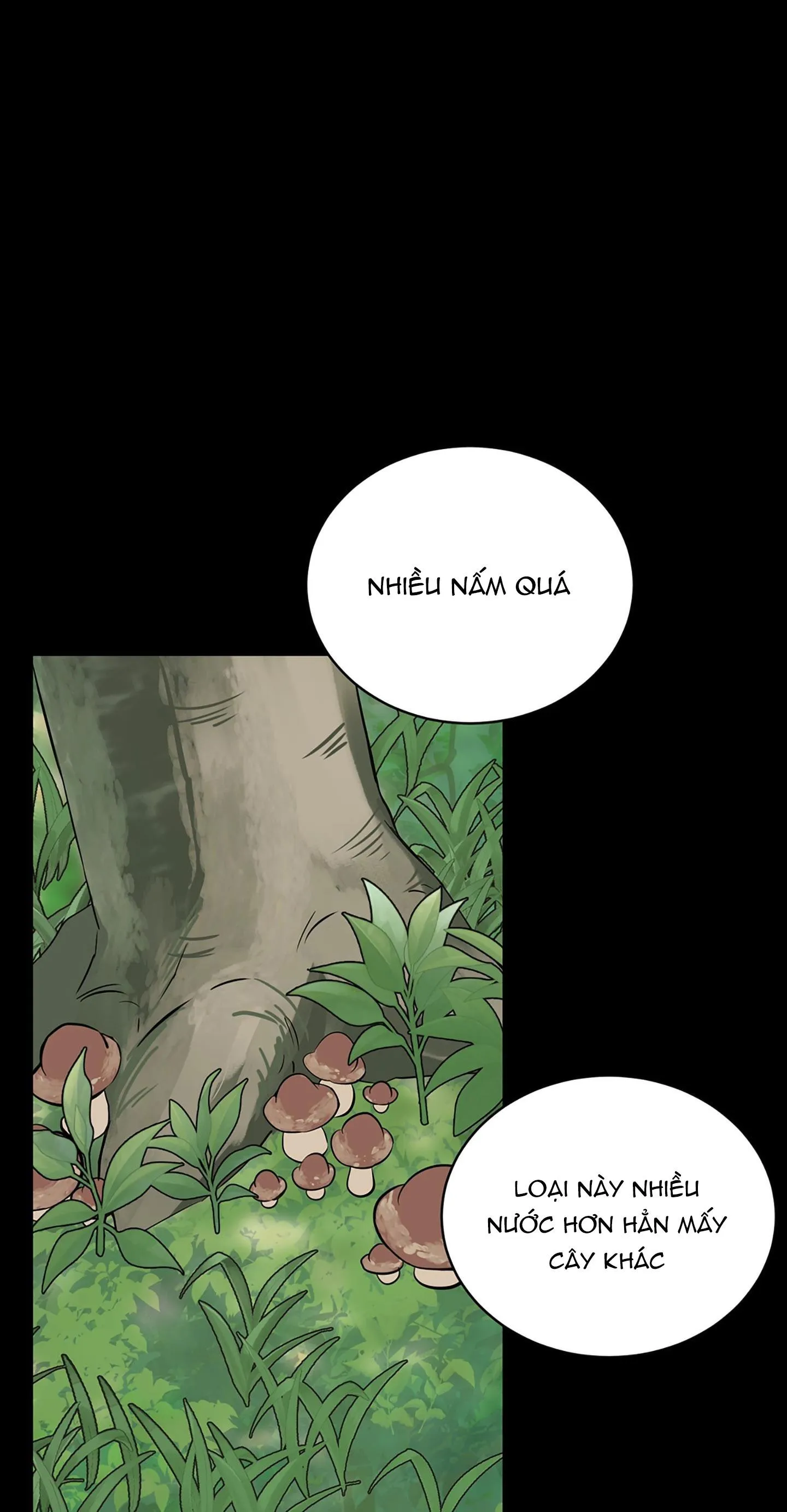 LOÀI HOA KHÔNG TÊN Chapter 3 Trang 33