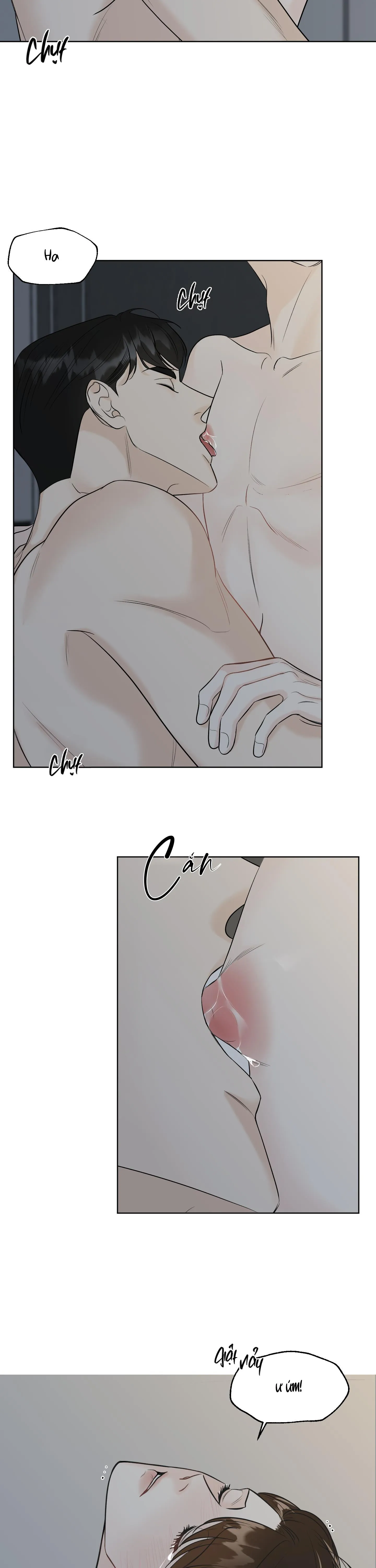 LỜI CHỐI TỪ VẤN VƯƠNG Chapter 6 Trang 5