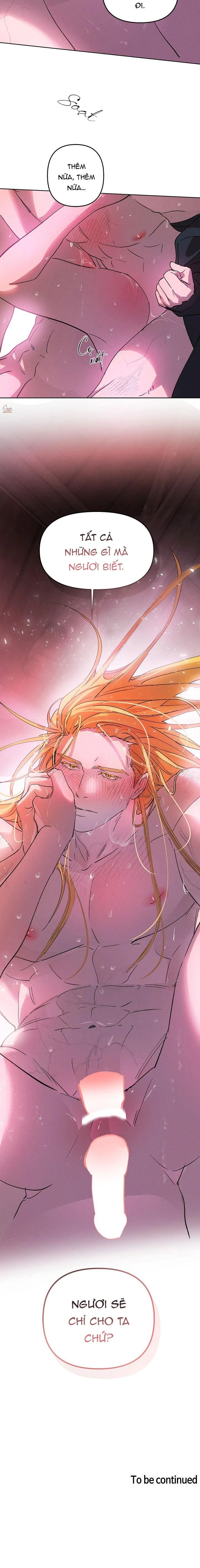 LỜI NGUYỀN MÀU ĐỎ CỦA HIỆP SĨ Chapter 4 Trang 14