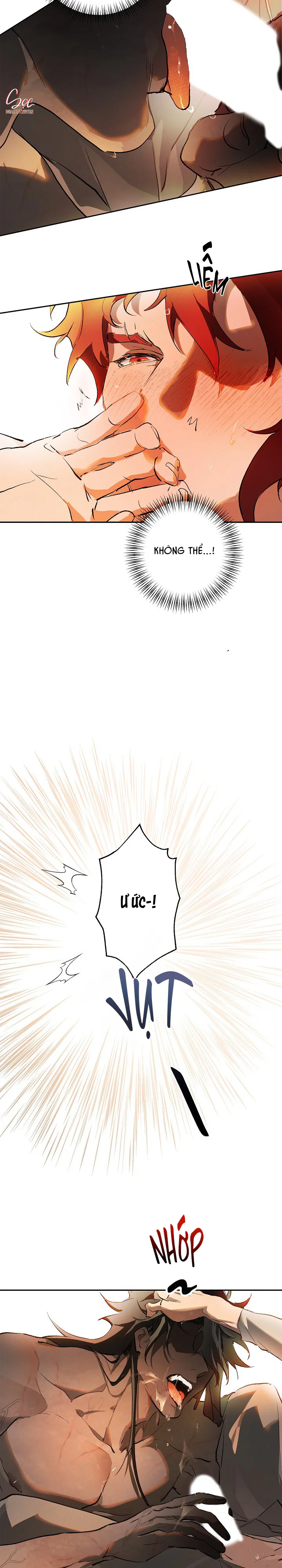 LỜI NGUYỀN MÀU ĐỎ CỦA HIỆP SĨ Chapter 7 Trang 8
