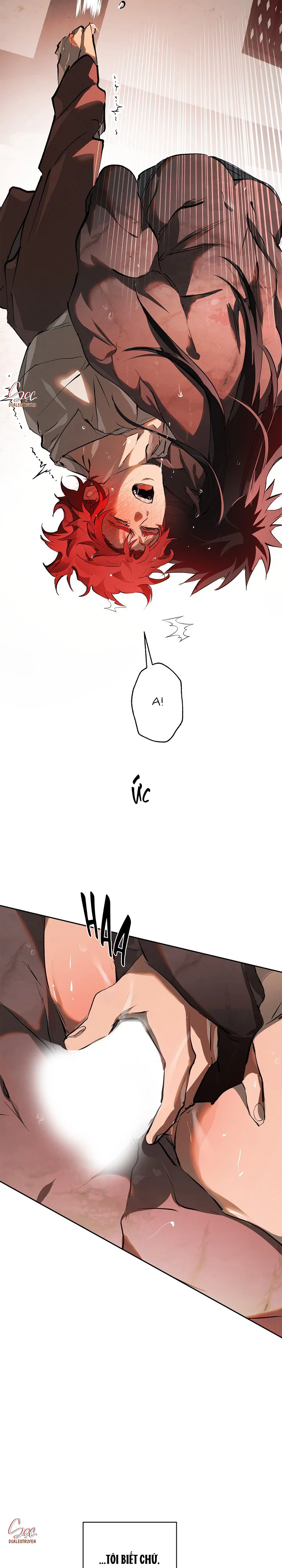 LỜI NGUYỀN MÀU ĐỎ CỦA HIỆP SĨ Chapter 7 Trang 26