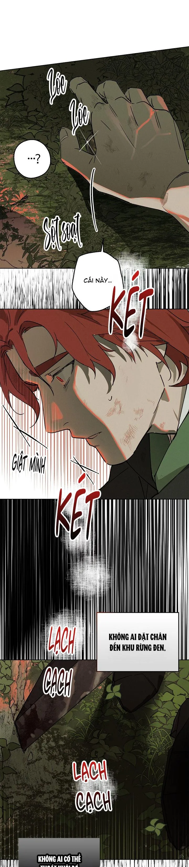 LỜI NGUYỀN MÀU ĐỎ CỦA HIỆP SĨ Chapter 1 Trang 13