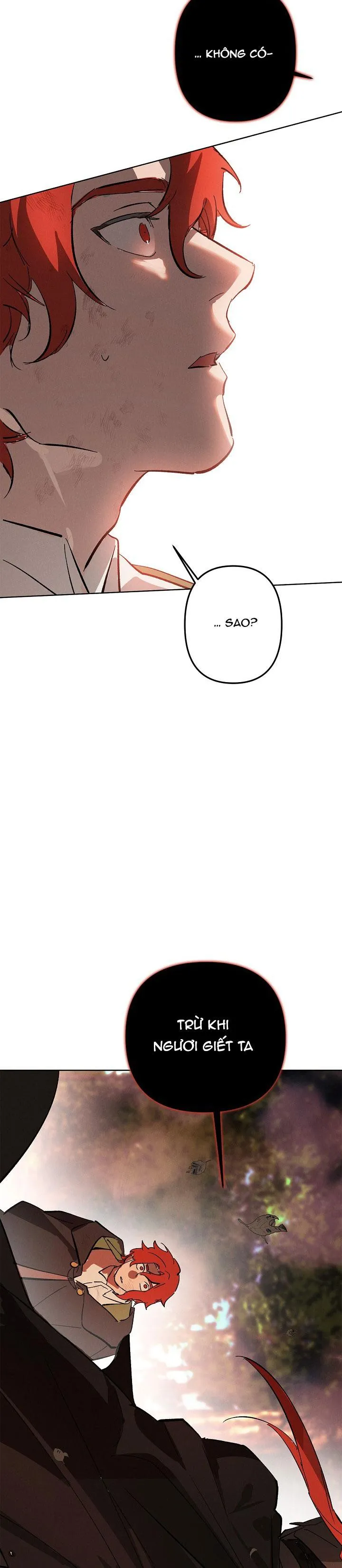 LỜI NGUYỀN MÀU ĐỎ CỦA HIỆP SĨ Chapter 1 Trang 22