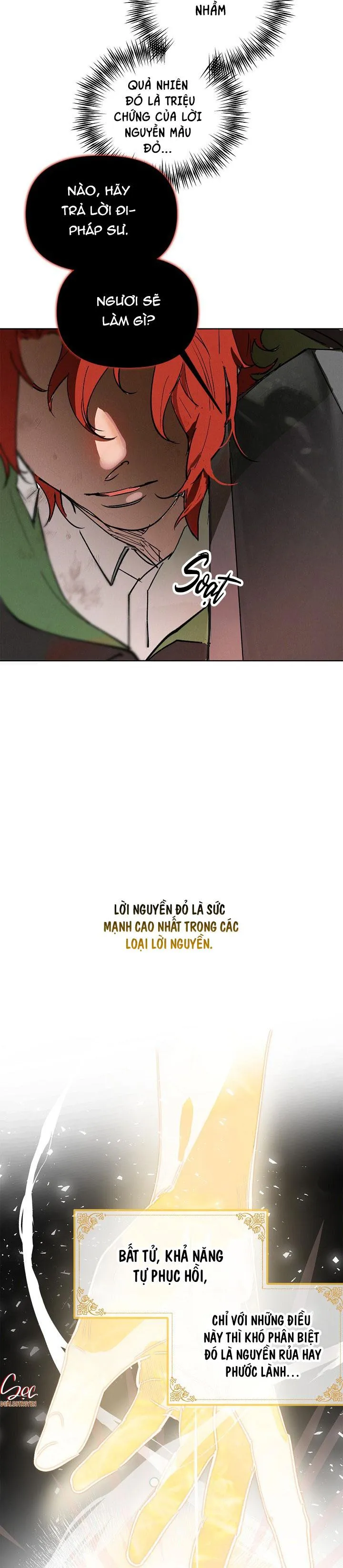 LỜI NGUYỀN MÀU ĐỎ CỦA HIỆP SĨ Chapter 1 Trang 27