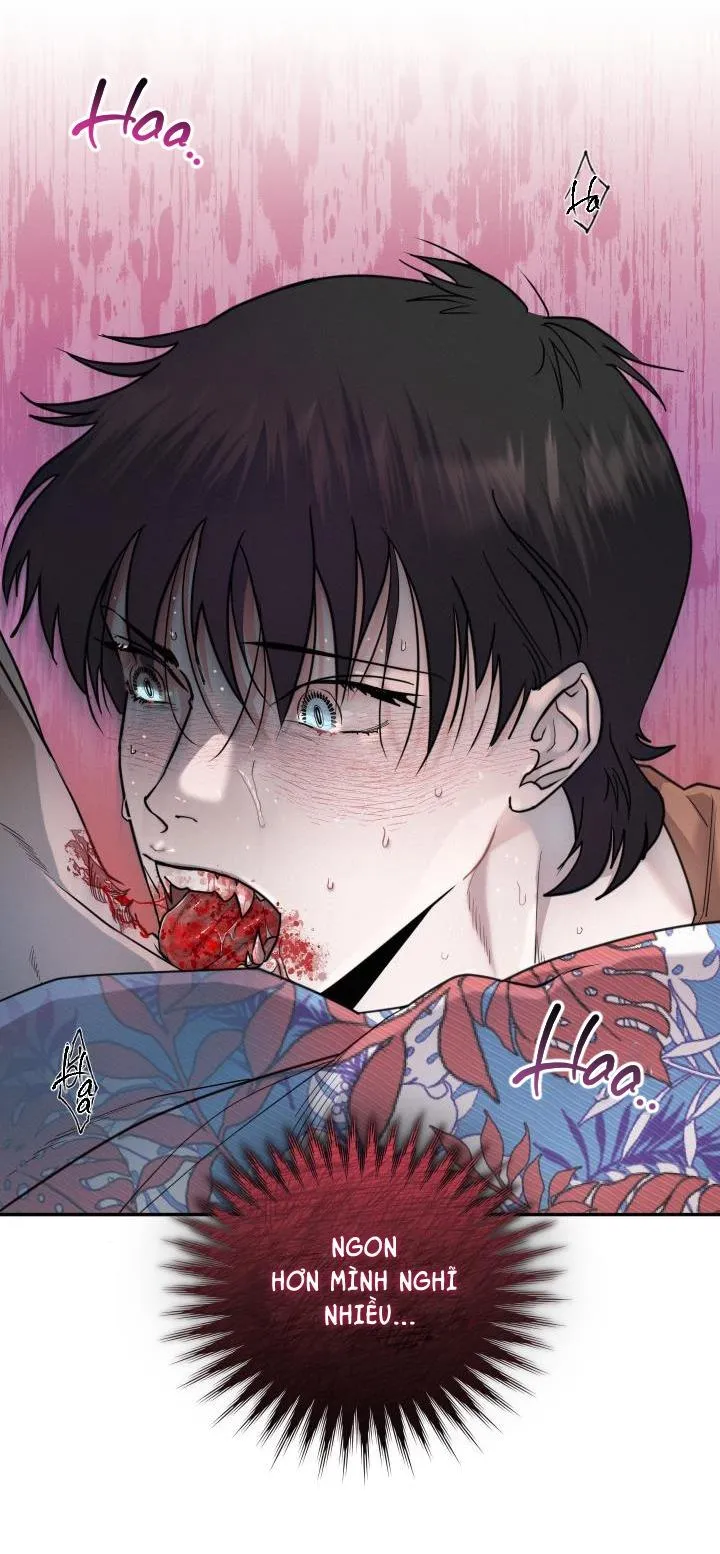 LỜI NÓI DỐI ĐẪM MÁU Chapter 24 Trang 29