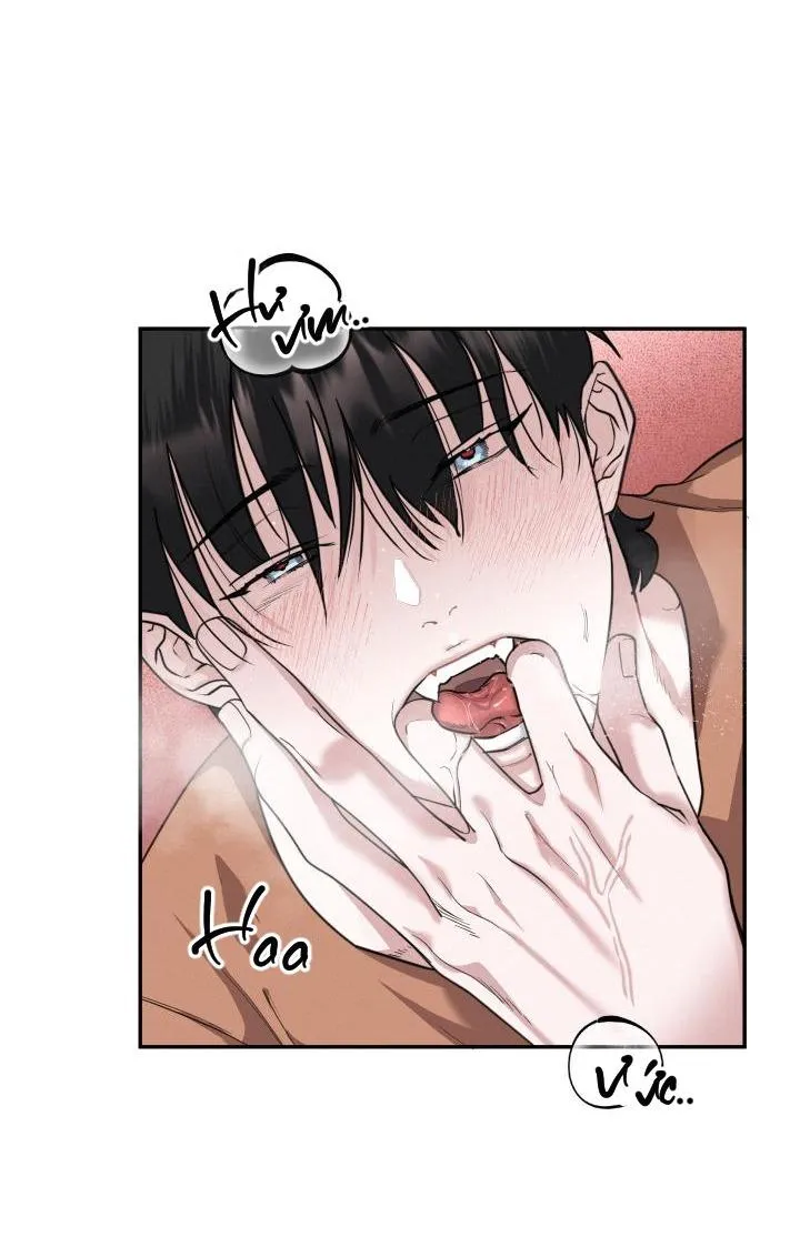 LỜI NÓI DỐI ĐẪM MÁU Chapter 24 Trang 51