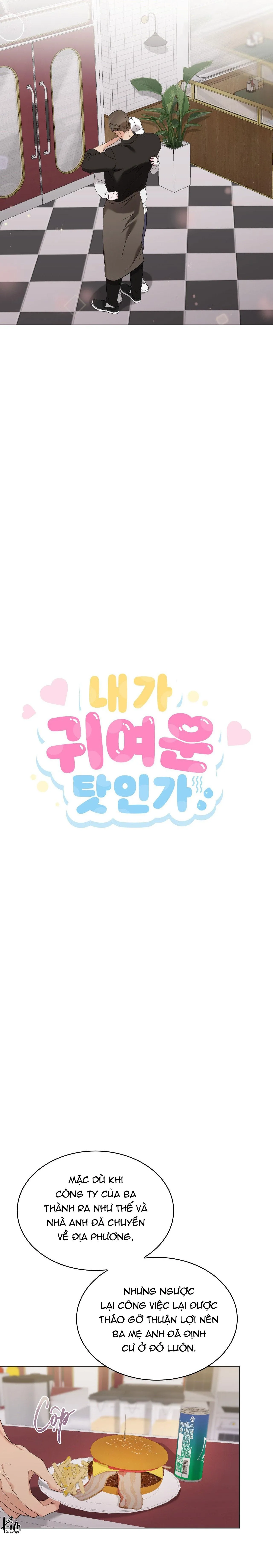 LỖI TẠI DỄ THƯƠNG Chapter 12 Trang 4