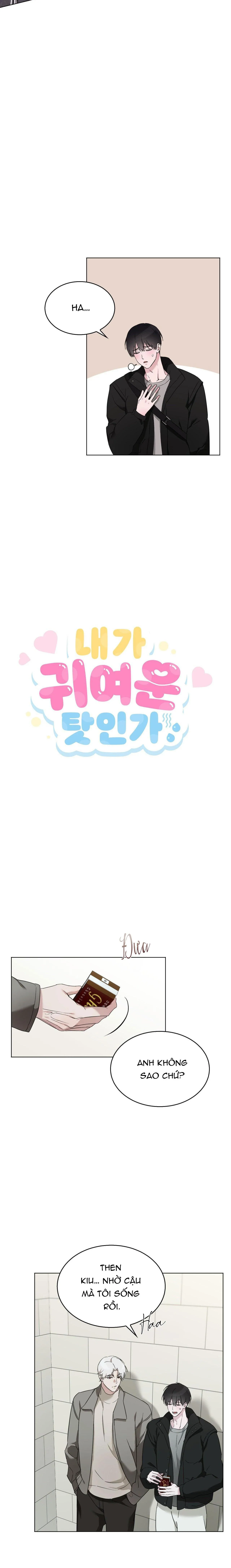 LỖI TẠI DỄ THƯƠNG Chapter 31 Trang 3