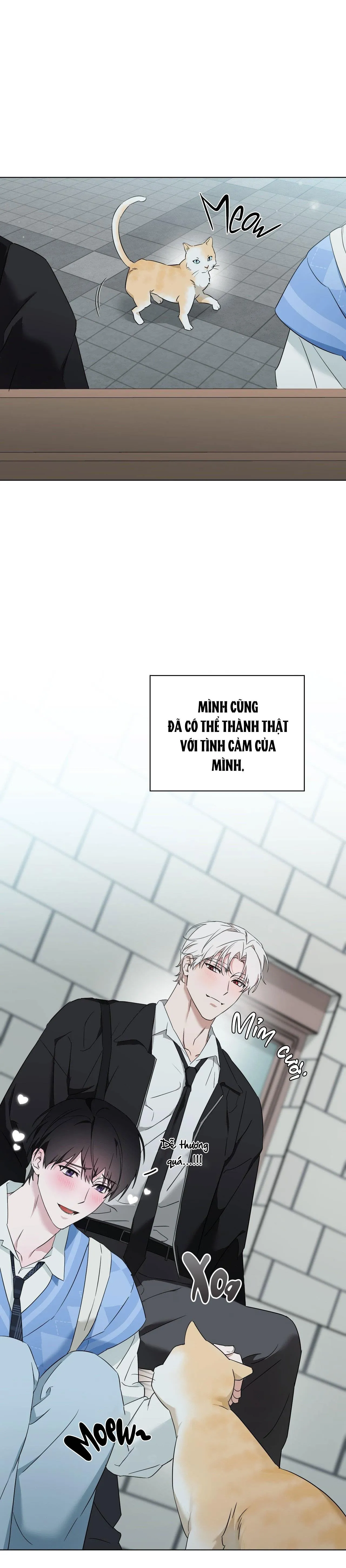 LỖI TẠI DỄ THƯƠNG Chapter 45 Trang 22