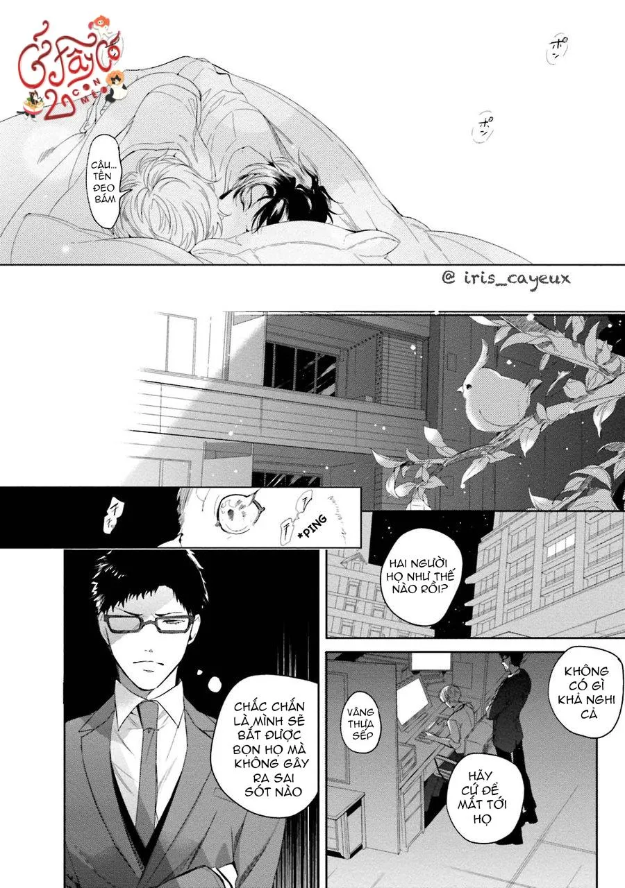 Lời Thì Thầm Của Thiên Sứ Chapter 2 Trang 16