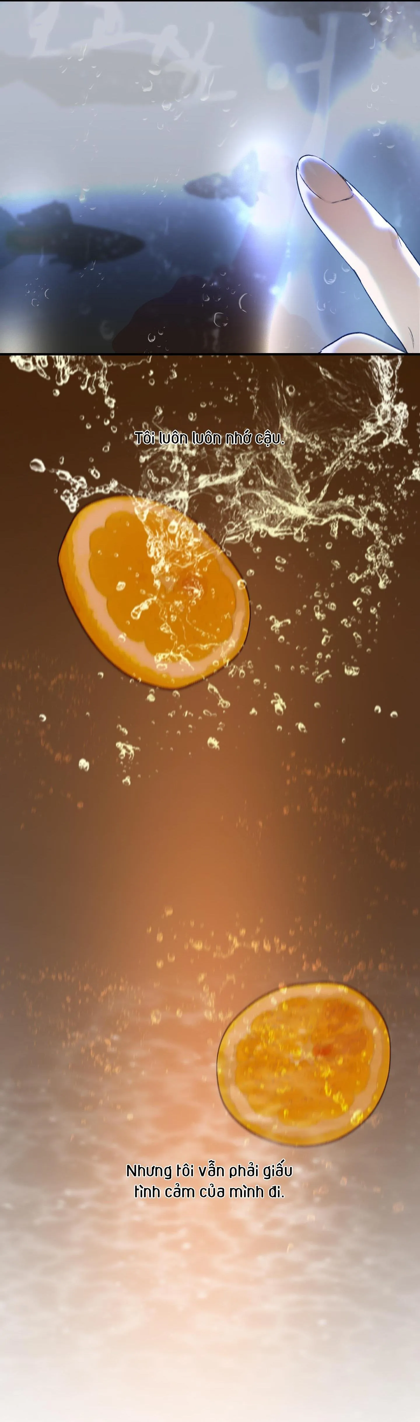 LỜI TỎ TÌNH CHÂN THÀNH NHẤT Chapter 8 Trang 73