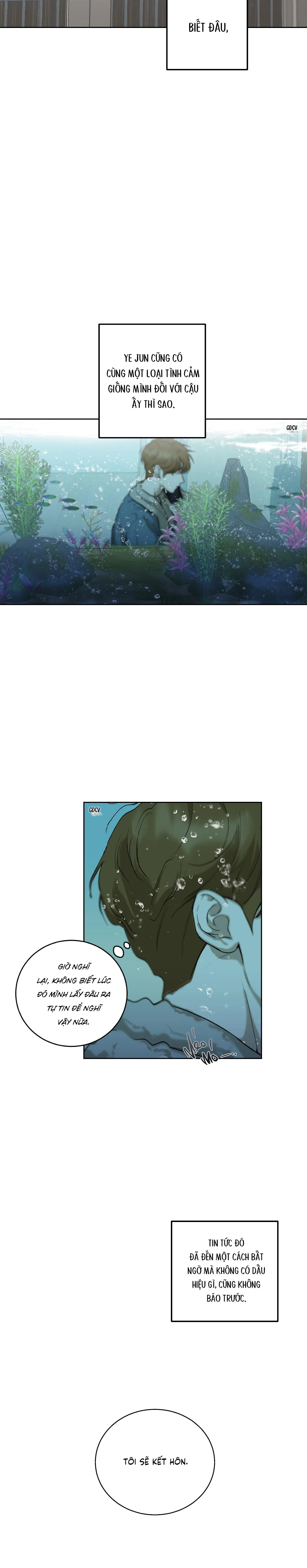 LỜI TỎ TÌNH CHÂN THÀNH NHẤT Chapter 1 Trang 11