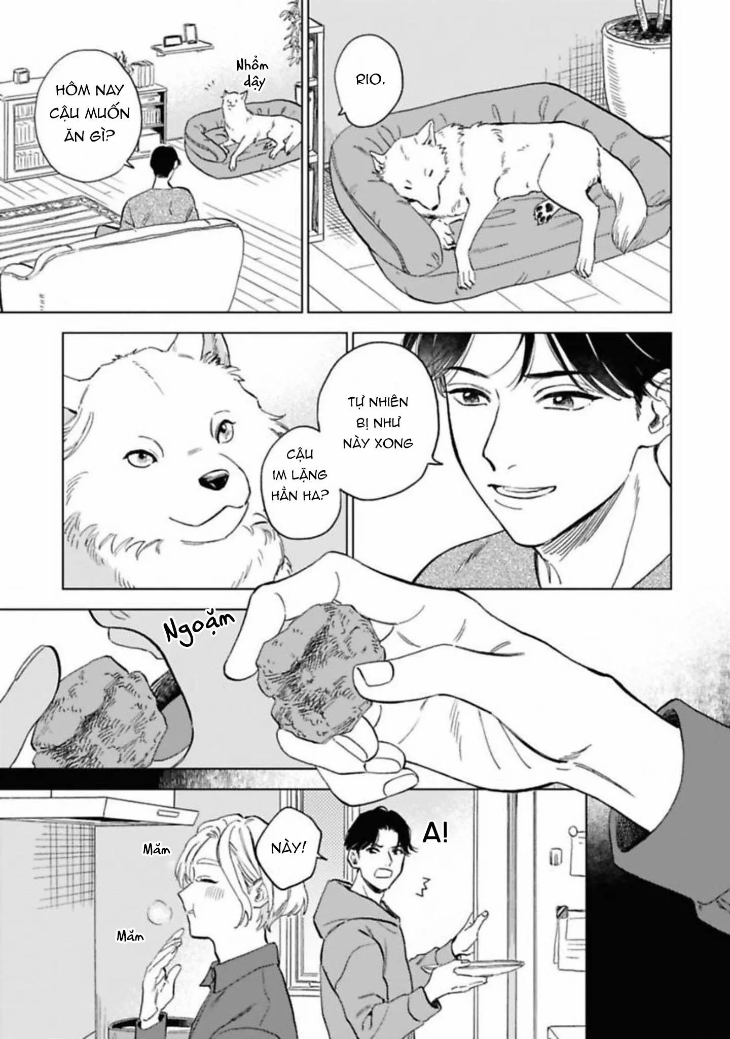 Lời Tỏ Tình Của Chú Sói Chapter 5 Trang 11