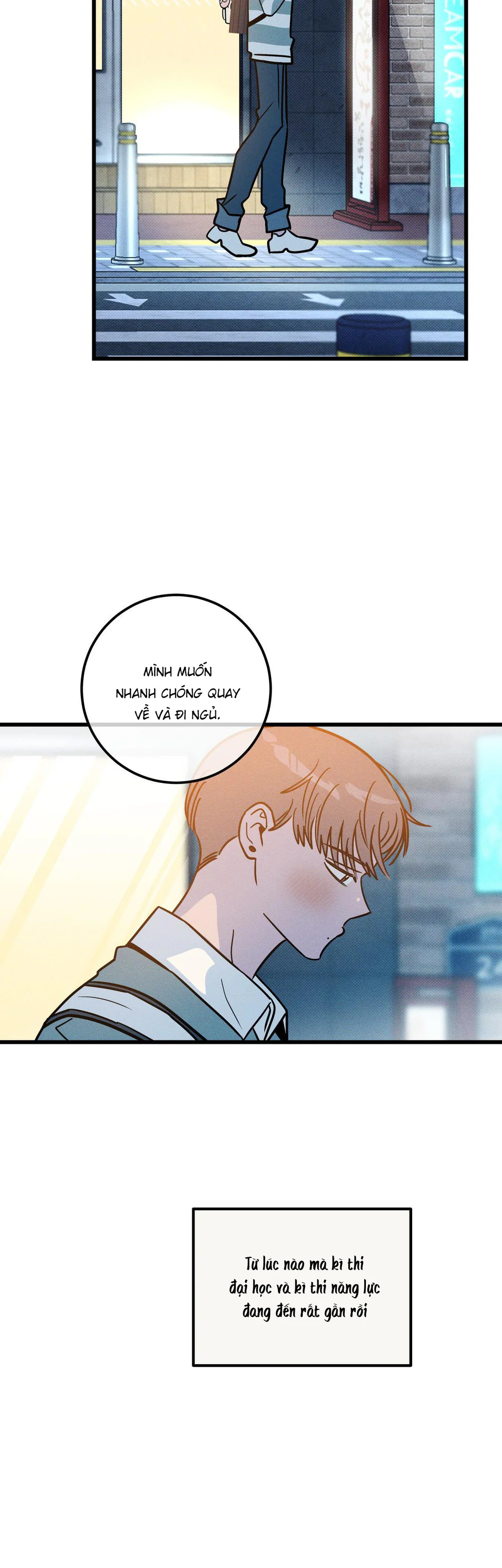 Lời Tỏ Tình Từ Con Số 0 Chapter 17 Trang 11