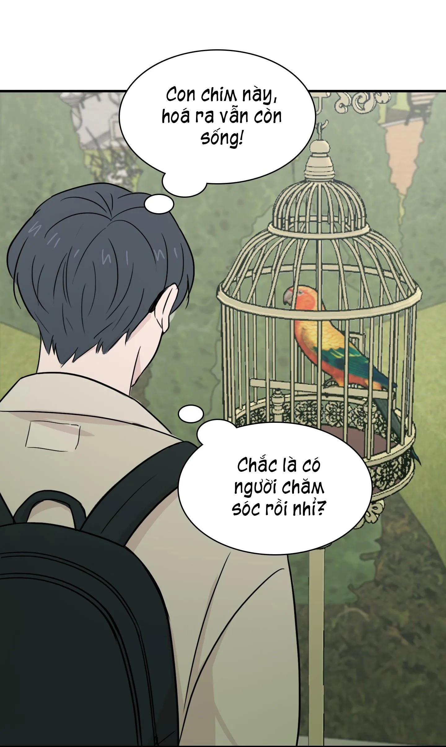 LỒNG CHIM Chapter 3 Trang 49