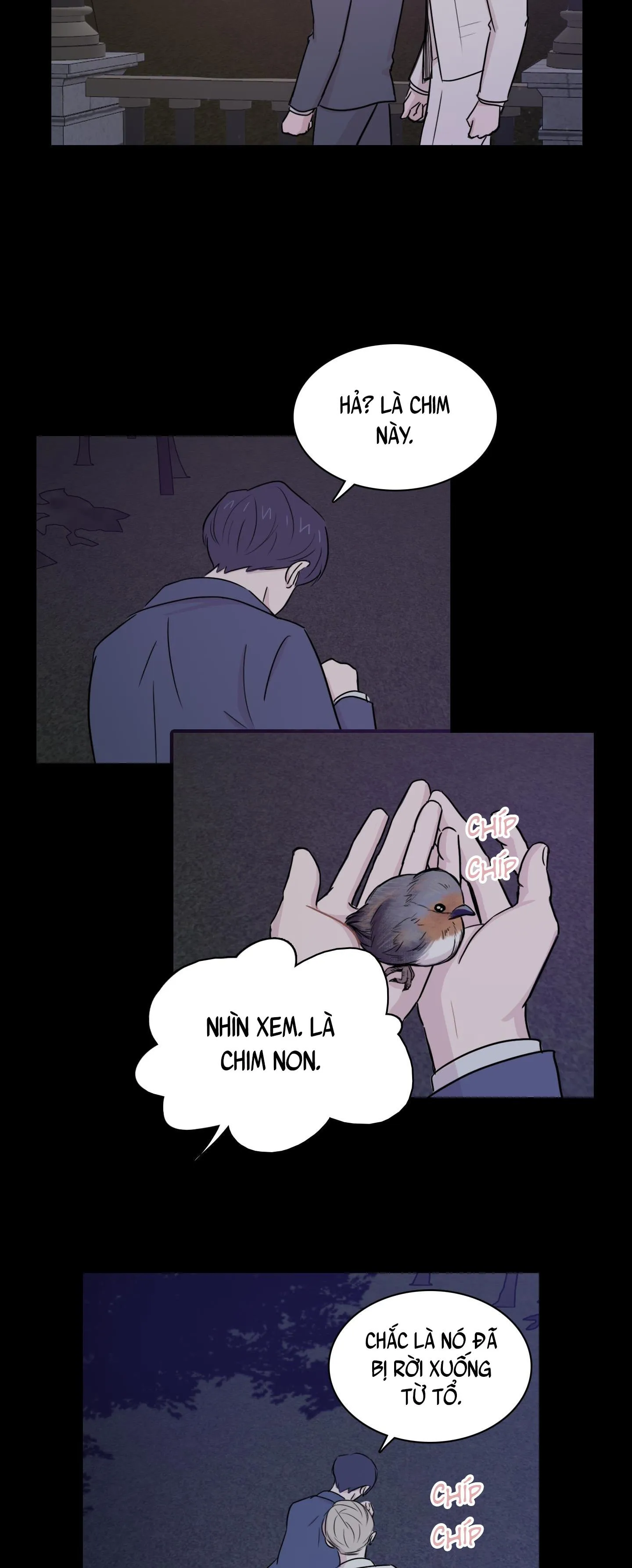 LỒNG CHIM Chapter 7 Trang 11