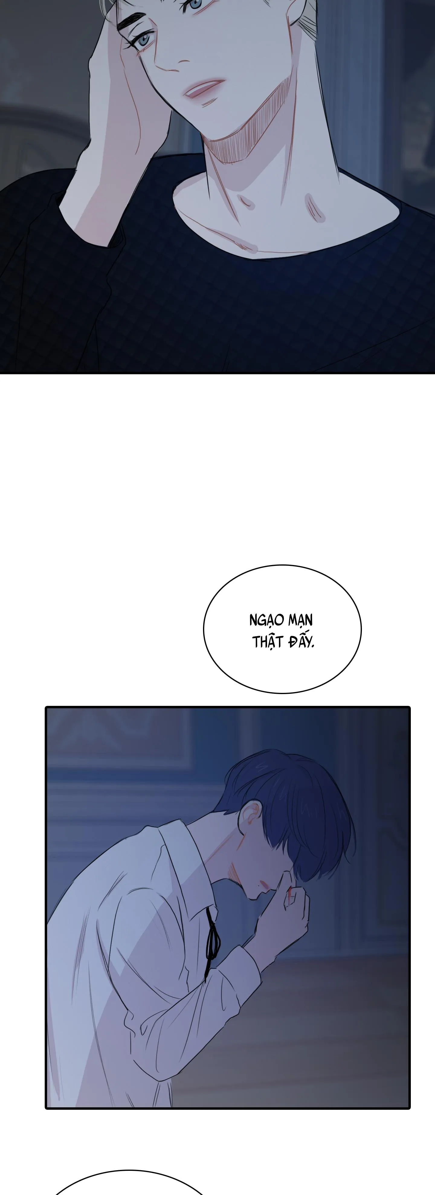 LỒNG CHIM Chapter 13 Trang 39