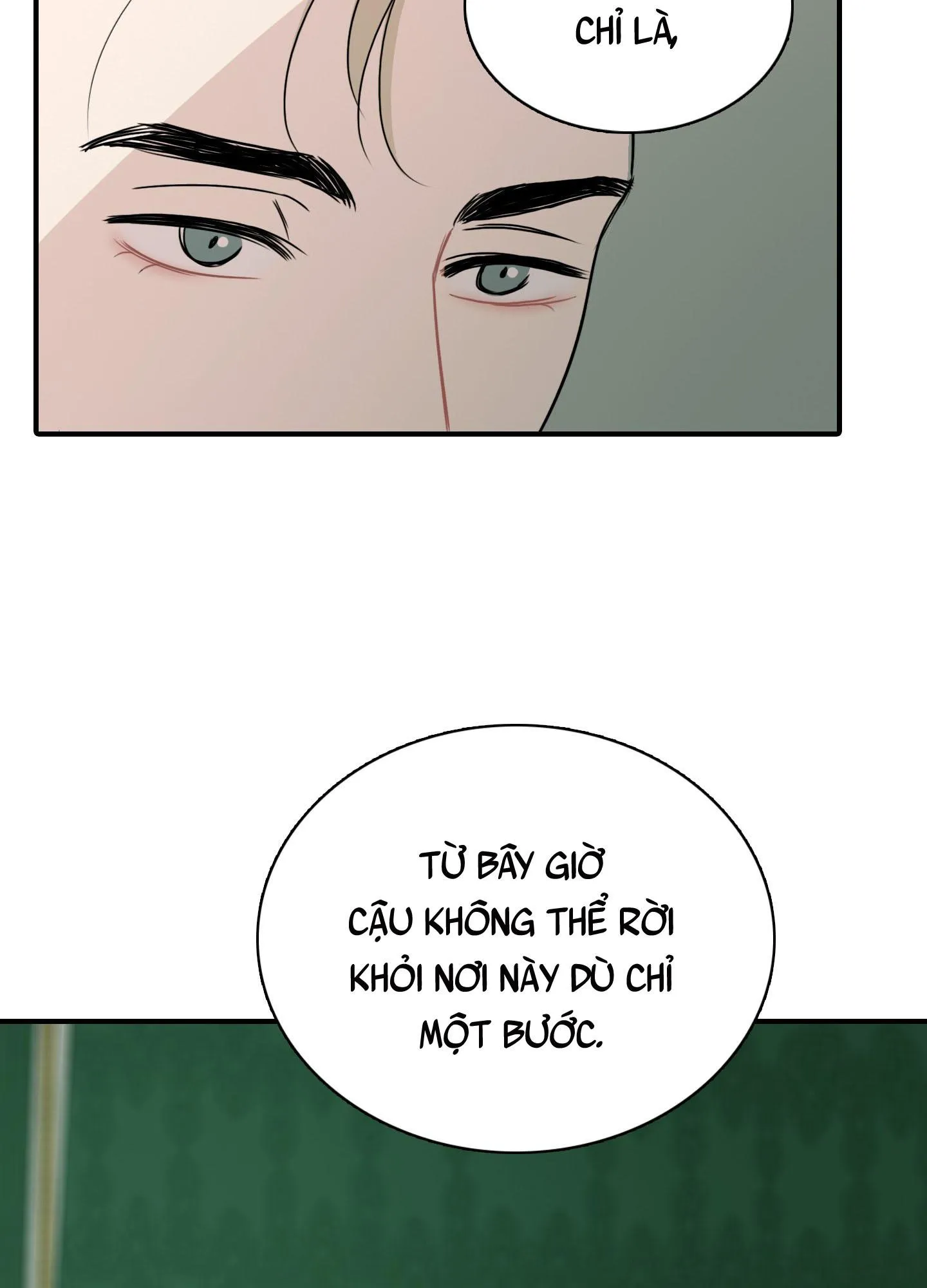 LỒNG CHIM Chapter 15 Trang 33