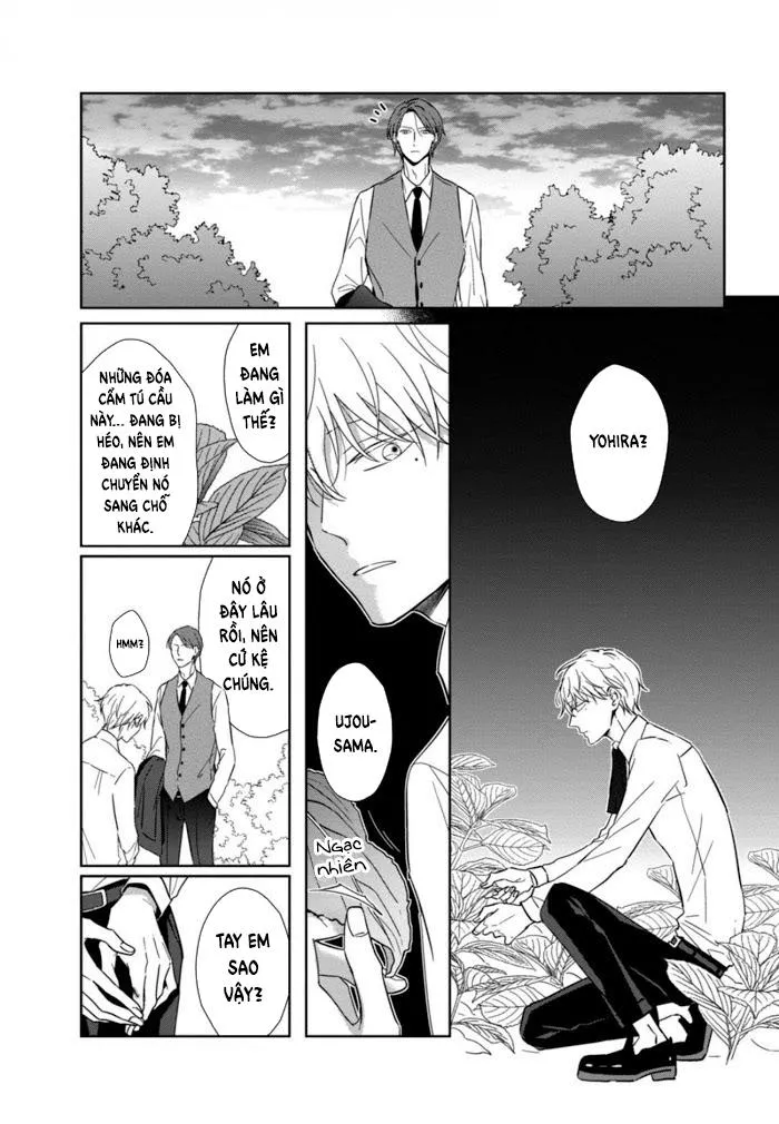 Lồng Hoa Cẩm Tú Cầu Chapter 4 Trang 13