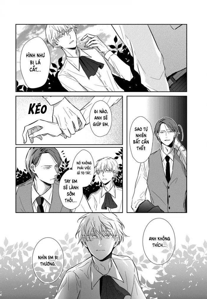 Lồng Hoa Cẩm Tú Cầu Chapter 4 Trang 14