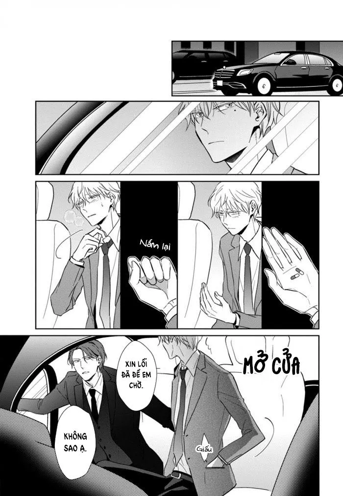 Lồng Hoa Cẩm Tú Cầu Chapter 4 Trang 19