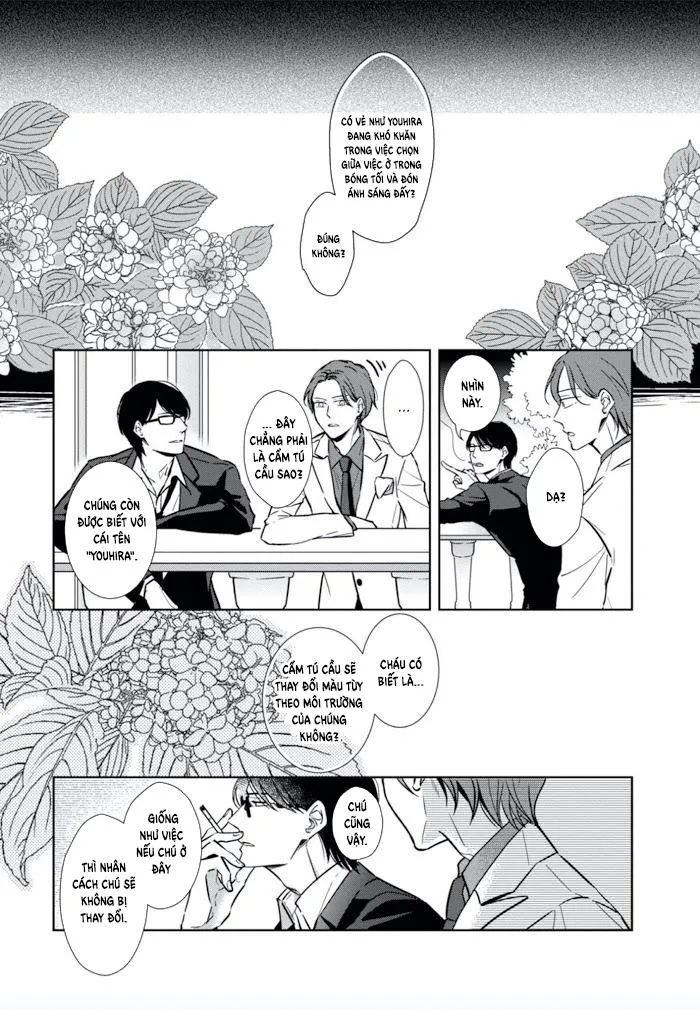 Lồng Hoa Cẩm Tú Cầu Chapter 1 Trang 12