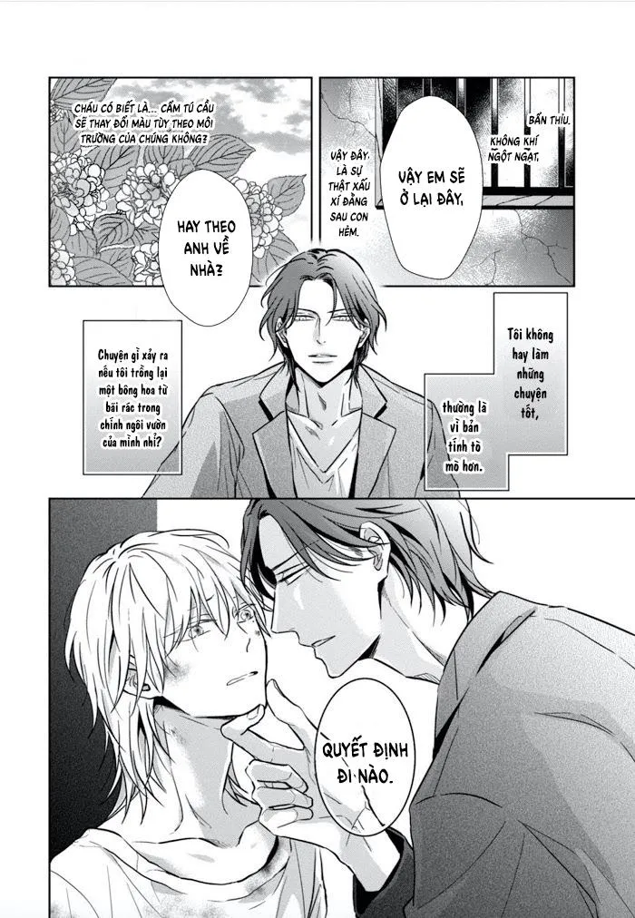 Lồng Hoa Cẩm Tú Cầu Chapter 1 Trang 26