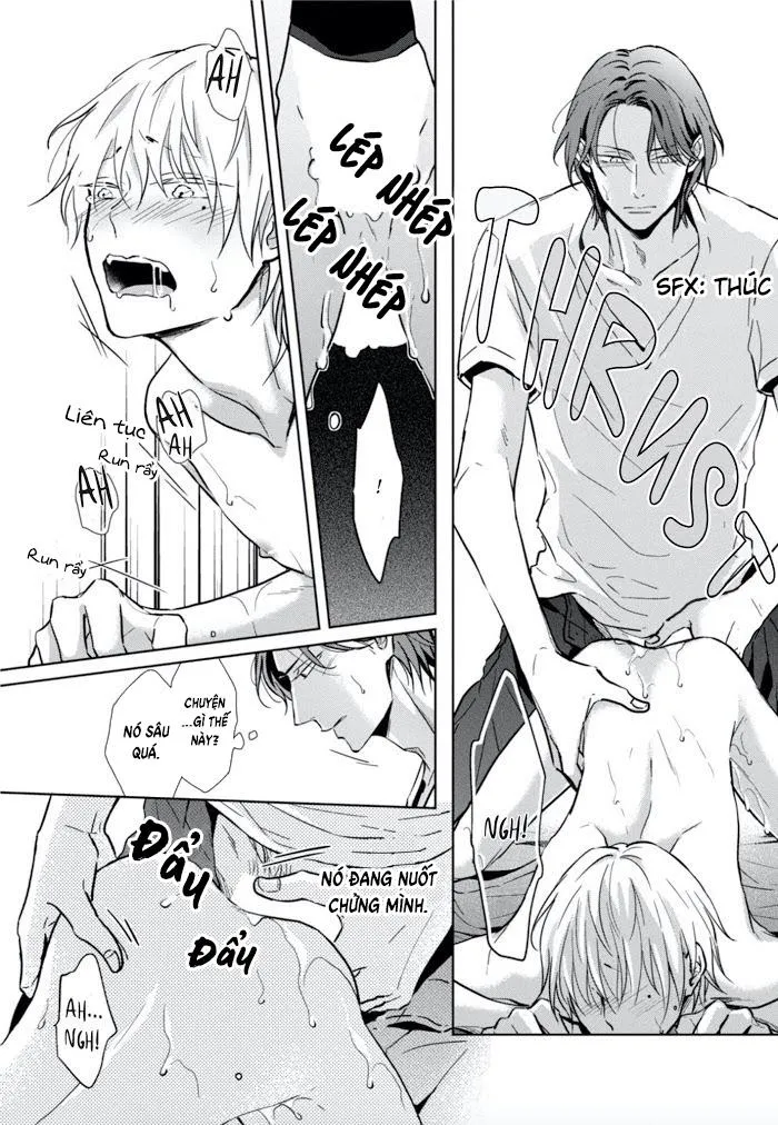 Lồng Hoa Cẩm Tú Cầu Chapter 1 Trang 35