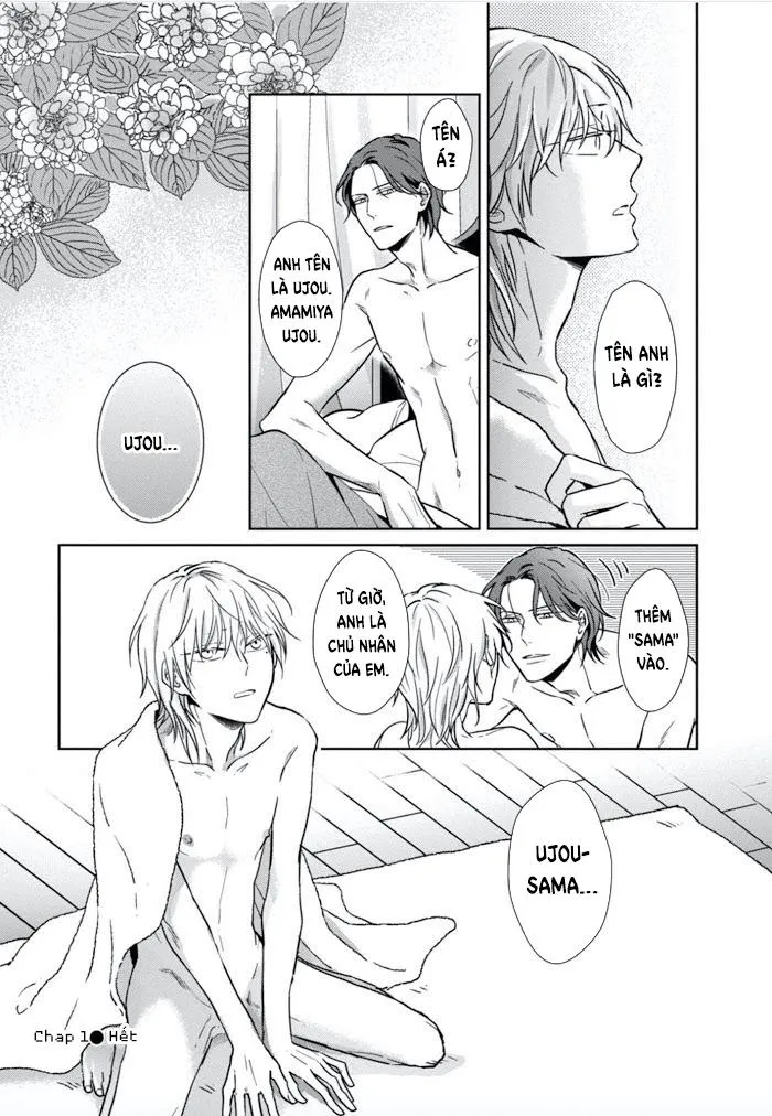 Lồng Hoa Cẩm Tú Cầu Chapter 1 Trang 42