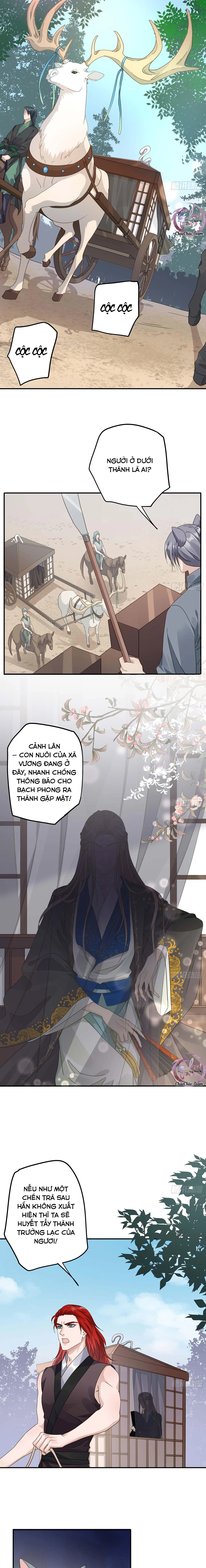 Lòng Quân Hiểm Ác Chapter 11 Trang 6