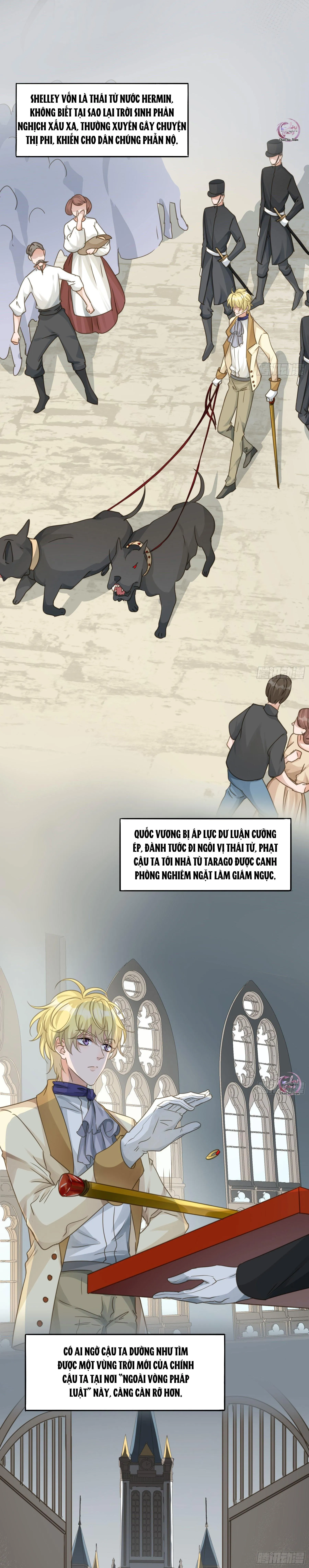 Lòng Quân Hiểm Ác Chapter 62 Trang 9