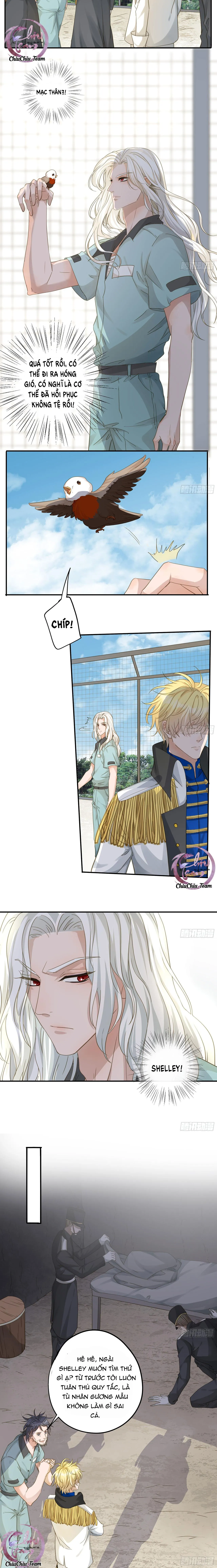 Lòng Quân Hiểm Ác Chapter 66 Trang 5