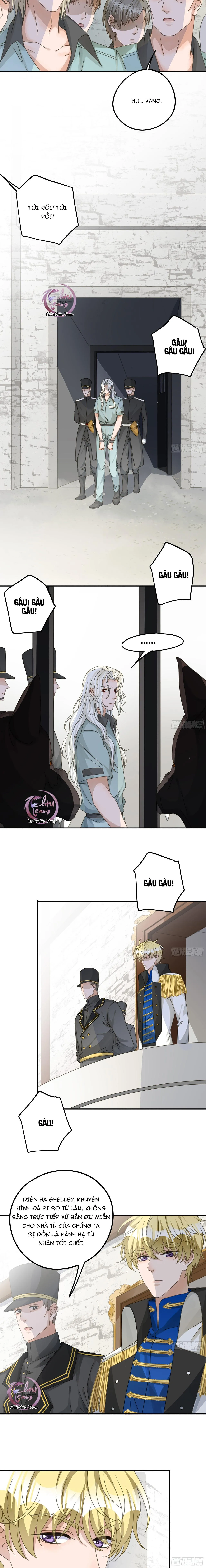 Lòng Quân Hiểm Ác Chapter 77 Trang 5