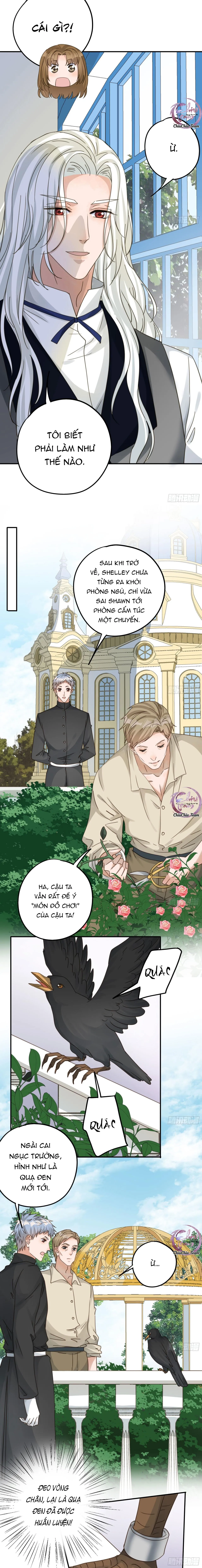 Lòng Quân Hiểm Ác Chapter 109 Trang 5