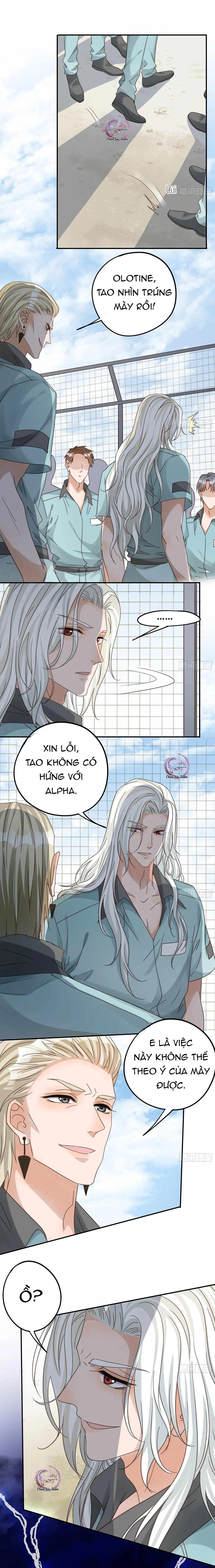 Lòng Quân Hiểm Ác Chapter 110 Trang 4